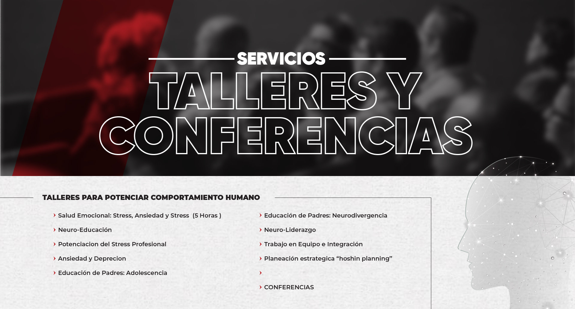 Imagen principal de la galería